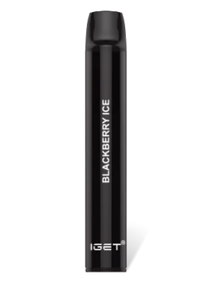 Blackberry Ice 600 Puffs Disposable 3 x IGET Shion