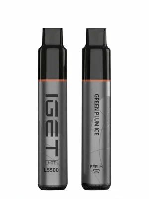 Green Plum Ice 5500 Puffs Disposable Vape