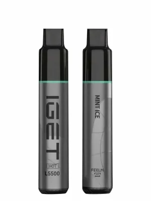 Mint Ice 5500 Puffs Disposable Vape