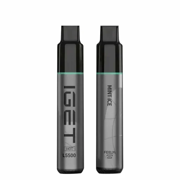 Mint Ice 5500 Puffs Disposable Vape