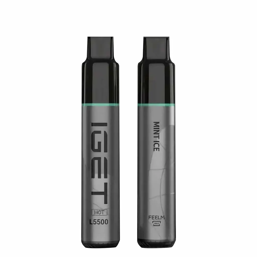 Mint Ice 5500 Puffs Disposable Vape
