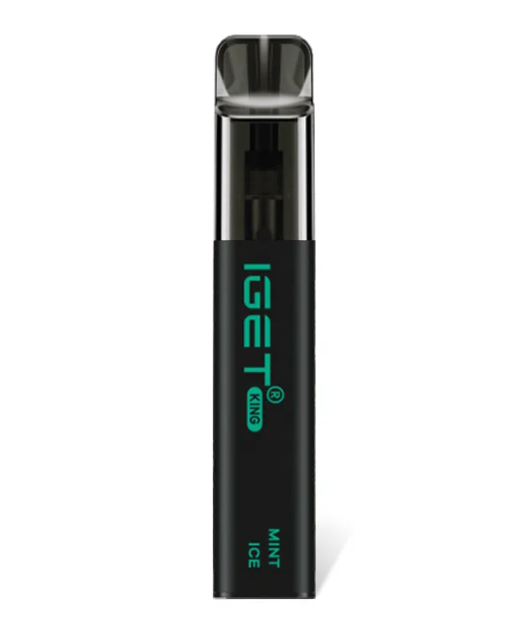 Mint Ice 2600 Puffs Disposable Vape IGET King